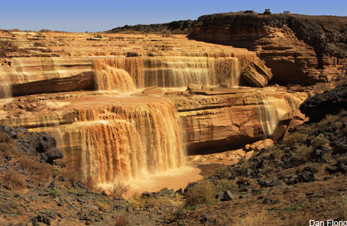 Spring Runoff by Dan Florio