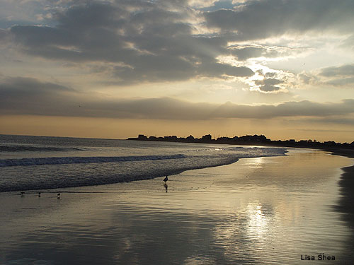 Point Judith RI Sunset by Lisa Shea