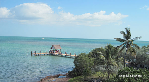 Tour Boat Dock by Andrew Sciandra